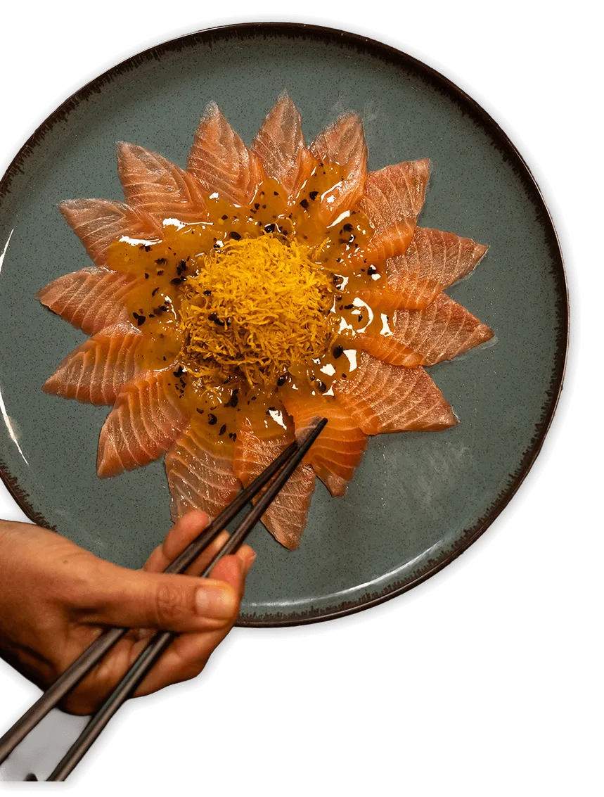 Hatsu en números - Sashimi